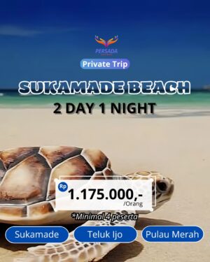 Close-up photo of a sea turtle on the sand, promoting the Sukamade Turtle Beach Private Tour 2 Day 1 Night, starting from IDR 1,175,000.