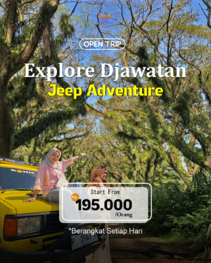 wisatawan Open Trip Explore Djawatan Jeep Adventure Banyuwangi di atas mobil JEEP 4x4, harga mulai Rp 195.000 per orang.