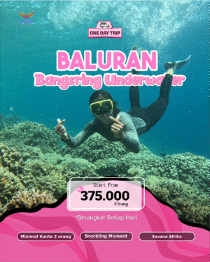 Paket One Day Trip Baluran dan Bangsring Underwater – Snorkeling di Banyuwangi